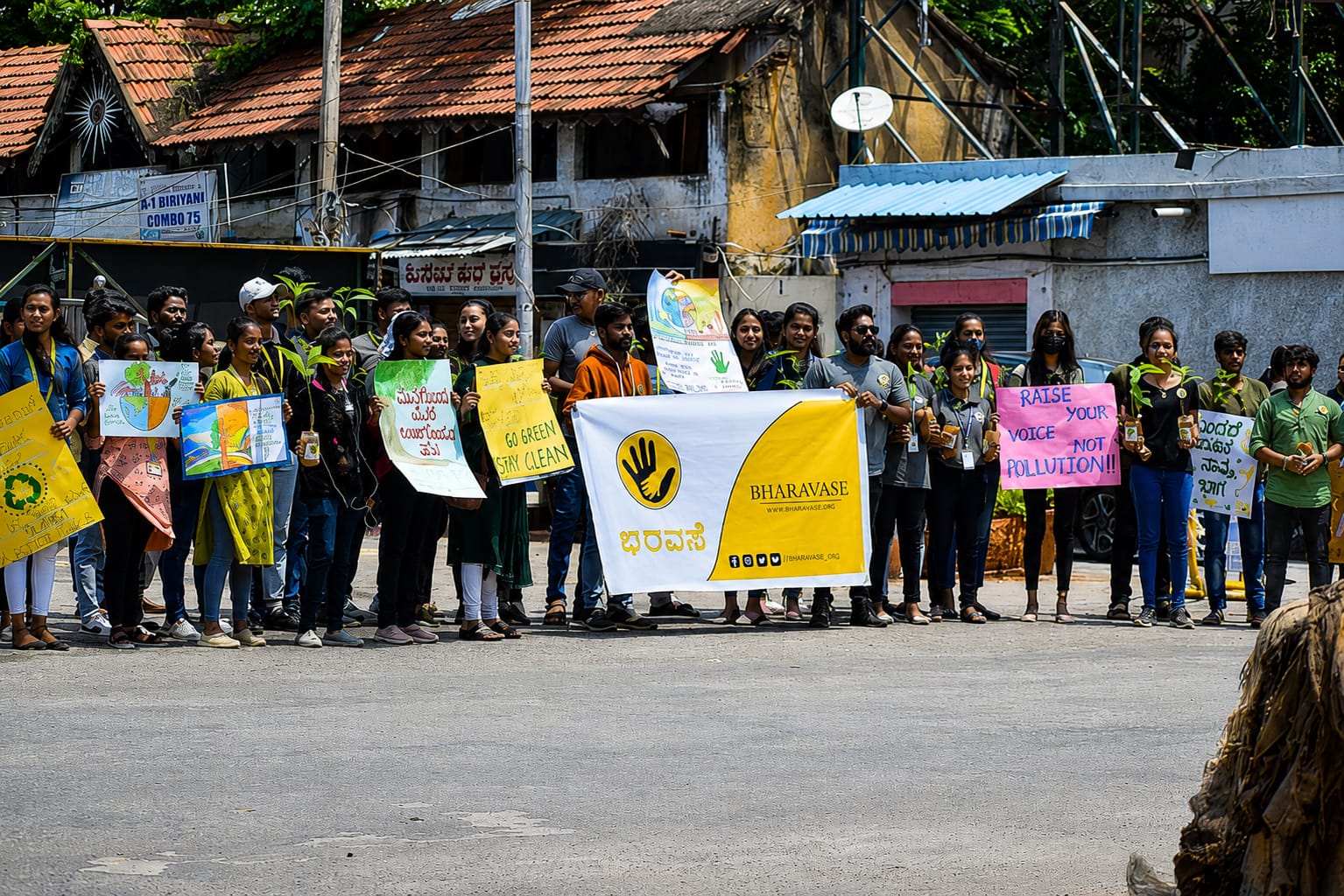 Tree plantation drive